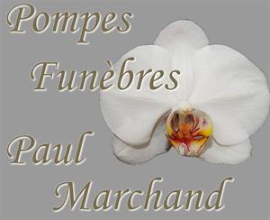 Photo 283295