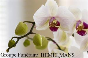 Photo 318808