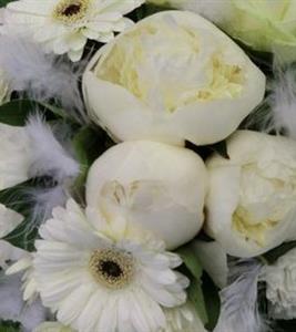 Photo 356972
