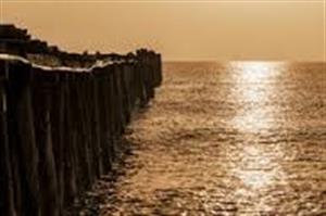 Photo 494622