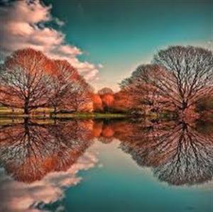 Photo 496396