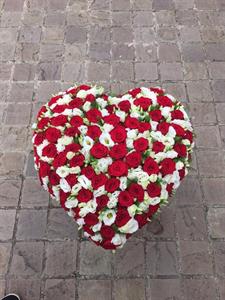Photo 506716