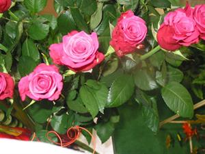 Photo 572706