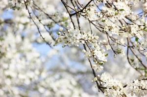 Photo 728761