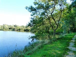 Photo 730734