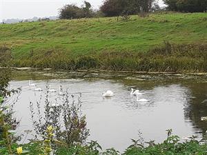 Photo 766229