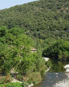 Photo 773716
