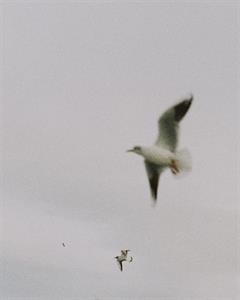 Photo 775331