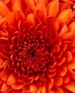 Photo 775541