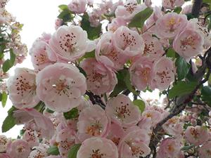 Photo 776740