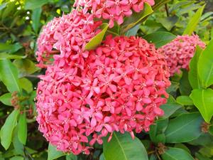Photo 777954