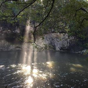 Photo 778469
