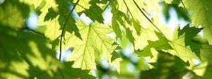 Photo 778793