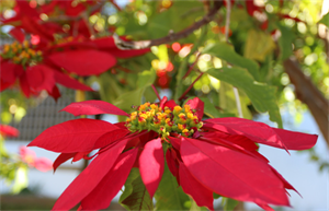 Photo 778922