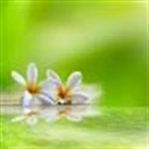 Photo 779239