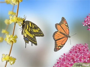 Photo 779916
