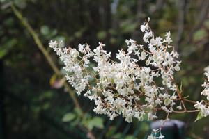 Photo 781337