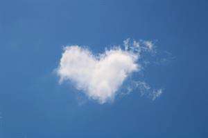 Photo 786983