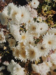 Photo 796819