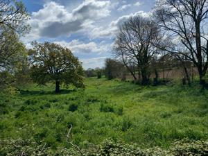 Photo 822523