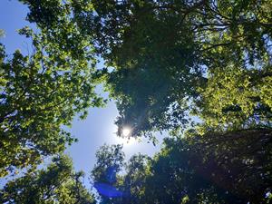 Photo 826253