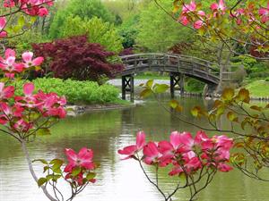 Photo 827015
