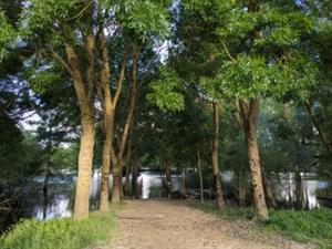 Photo 827072