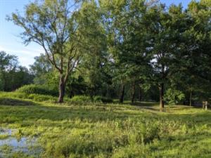 Photo 827086
