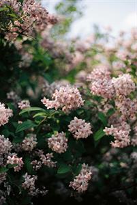 Photo 828421