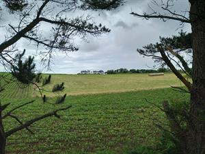Photo 829274