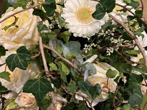 Photo 860416