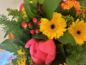 Photo 861722