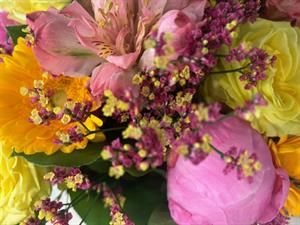 Photo 867063