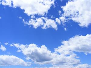 Photo 878768