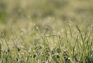 Photo 879334