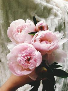 Photo 879997