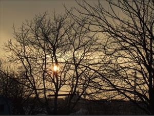 Photo 880268