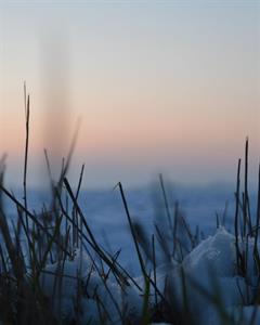 Photo 882051