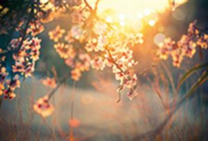 Photo 883789
