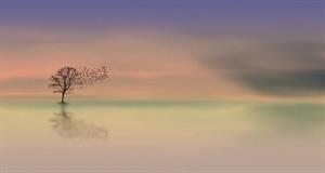 Photo 897461