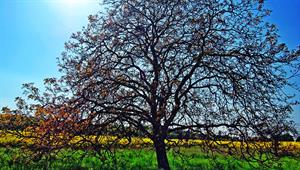 Photo 897597