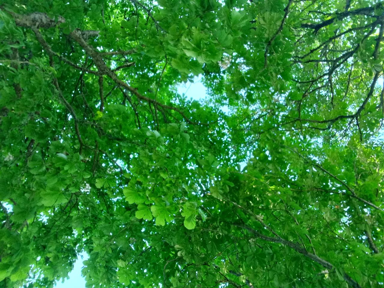 Photo 944614