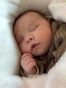 Photo 947066