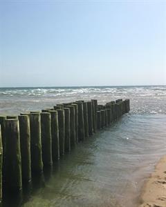 Photo 951634
