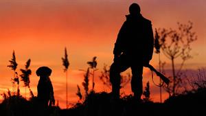 Photo 952350