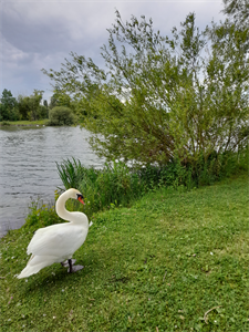 Photo 955037