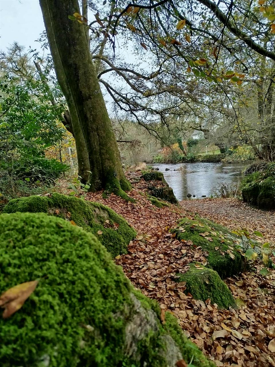 Photo 956705