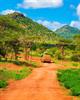 Photo 958503