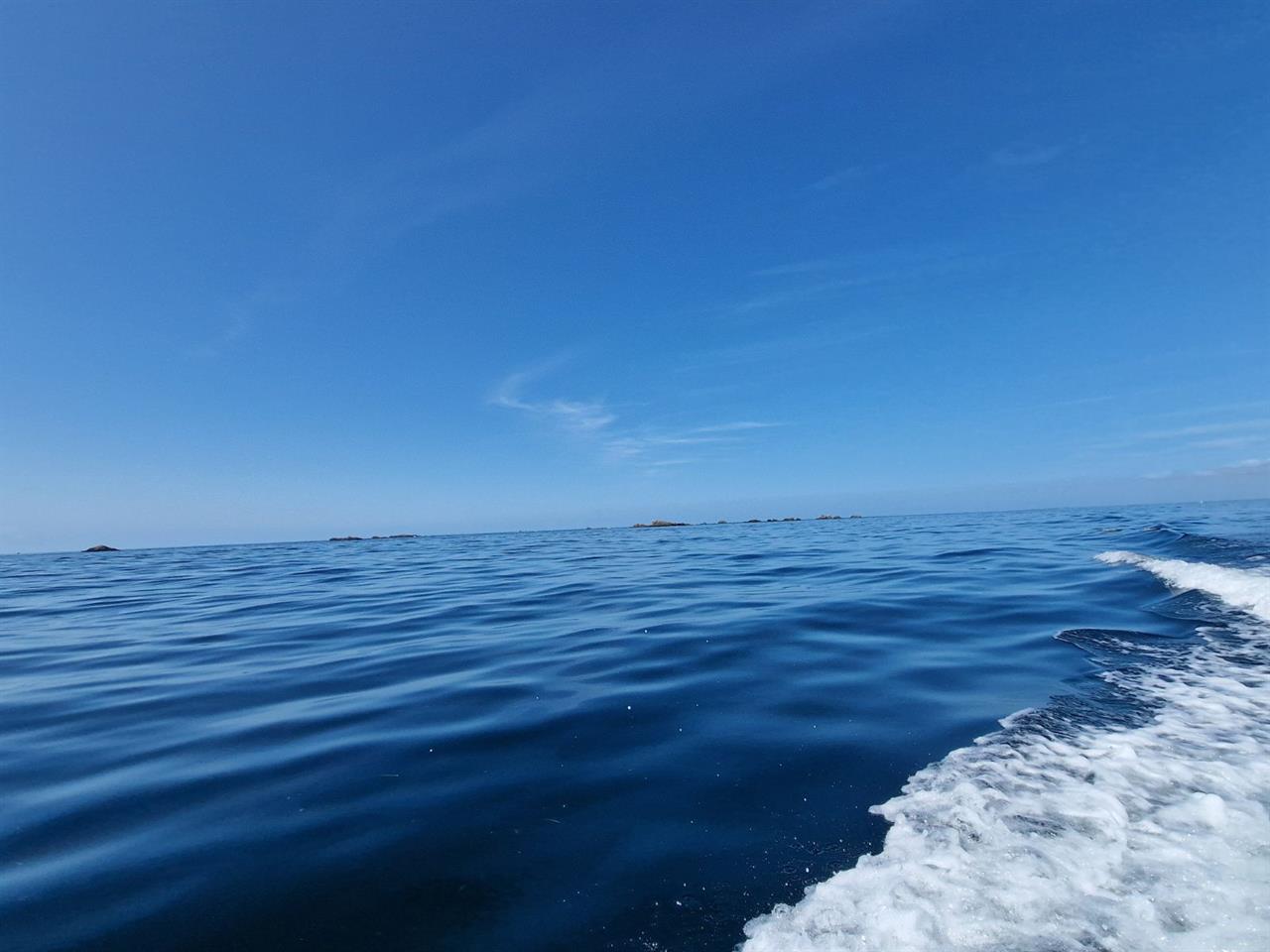 Photo 959622