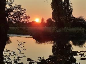 Photo 963129